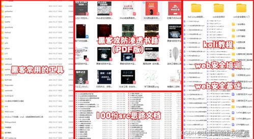 网络安全与黑客技术 自学计算机软硬件的全面指南